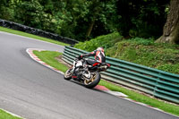 cadwell-no-limits-trackday;cadwell-park;cadwell-park-photographs;cadwell-trackday-photographs;enduro-digital-images;event-digital-images;eventdigitalimages;no-limits-trackdays;peter-wileman-photography;racing-digital-images;trackday-digital-images;trackday-photos